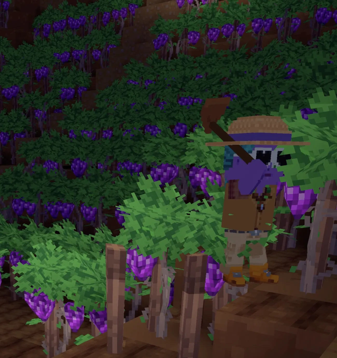 Vignobles et constructions dans VoxLand
